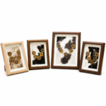 Dynasty Five Wealth Vault Cowhide Heritage Frame - Image 5